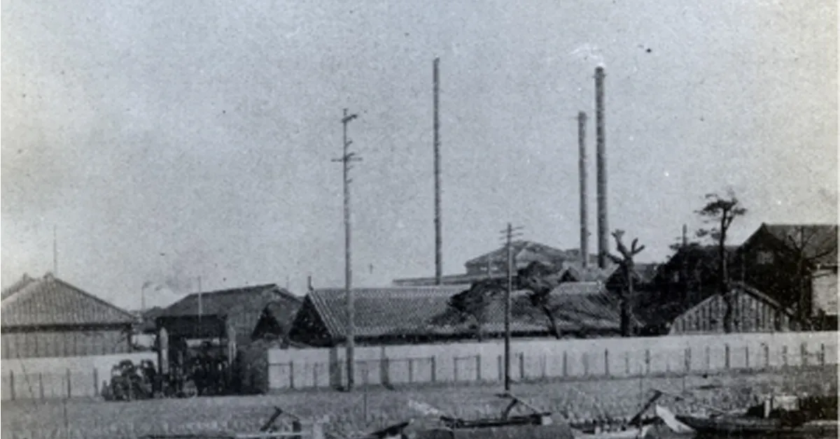 ریشه‌ها و شکل‌گیری هینو 